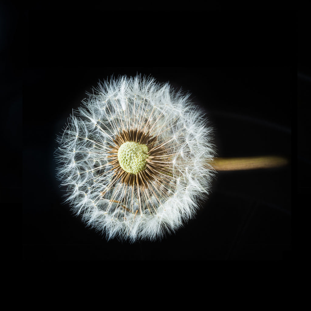 <a href='https://www.freepik.com/photos/flower'>Flower photo created by wirestock - www.freepik.com</a>