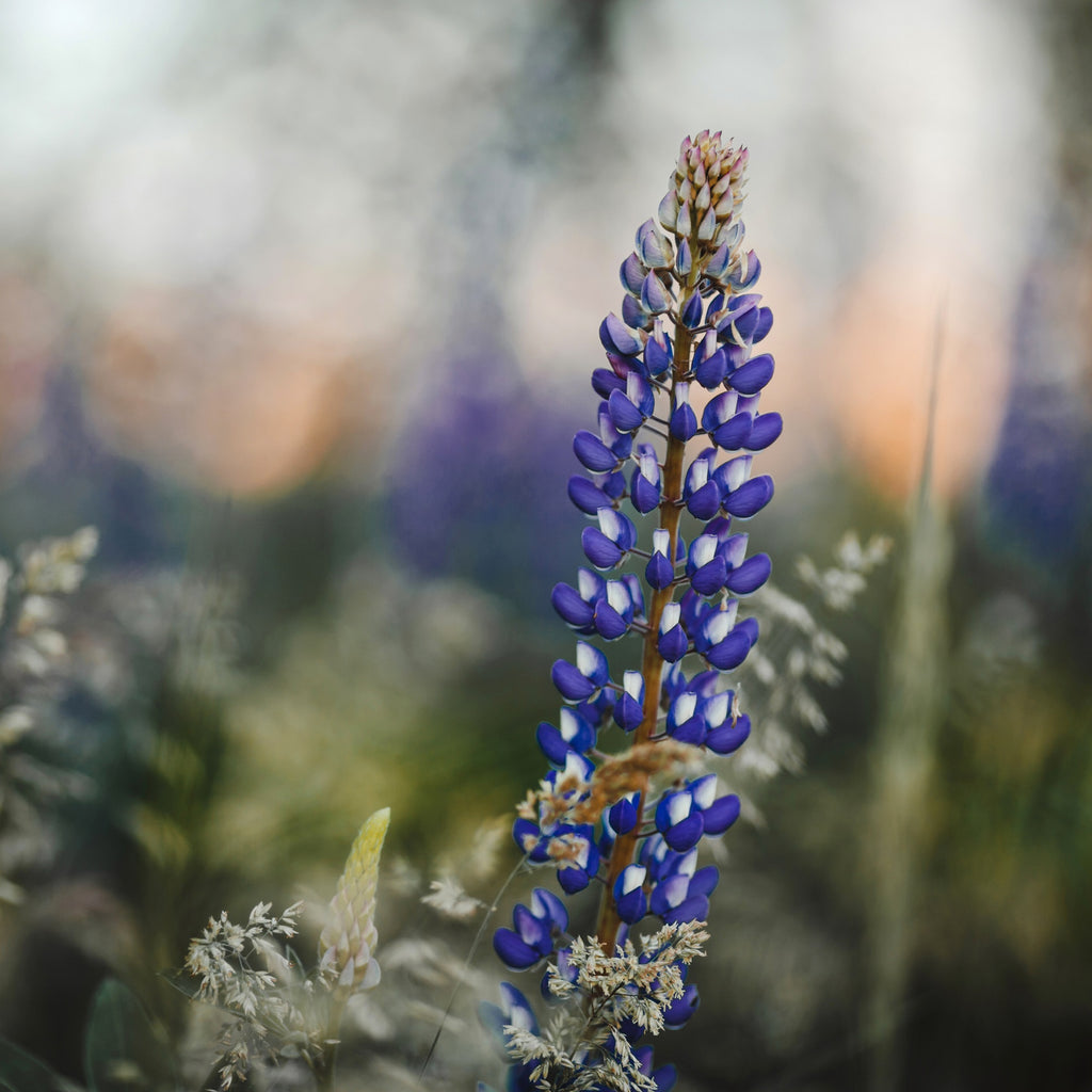 <a href='https://www.freepik.com/photos/flower'>Flower photo created by freepic.diller - www.freepik.com</a>